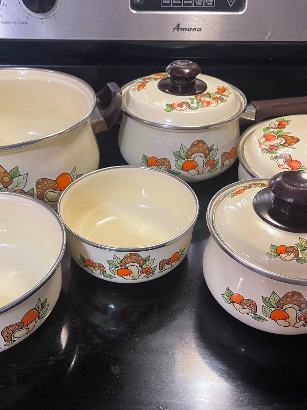 Vintage mushroom pots pans set